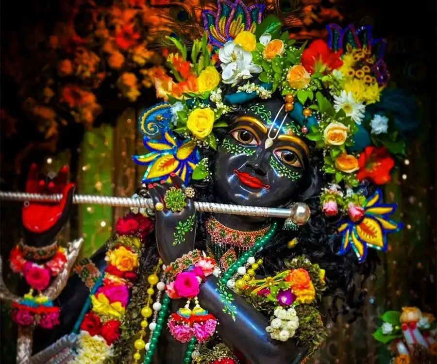 HoABL project vrindavan